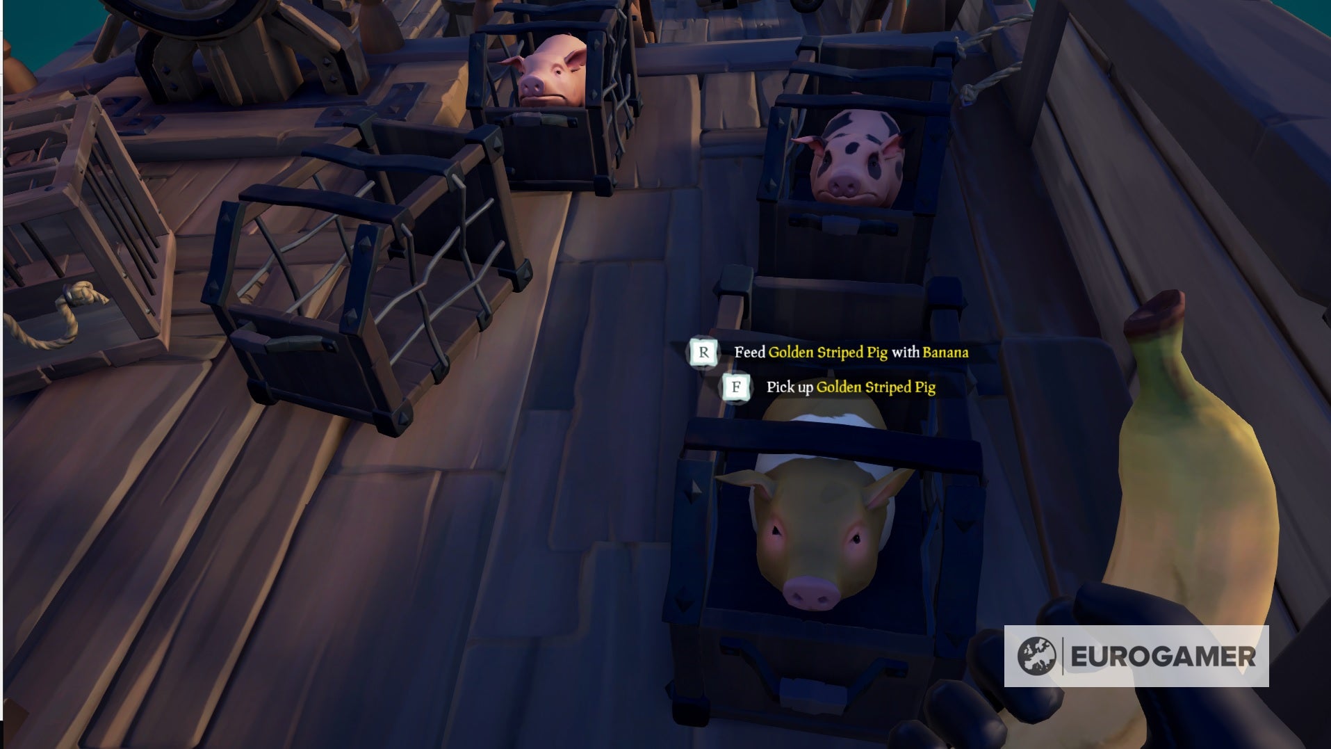 Sea of Thieves chicken, pig and snake locations how to find and catch